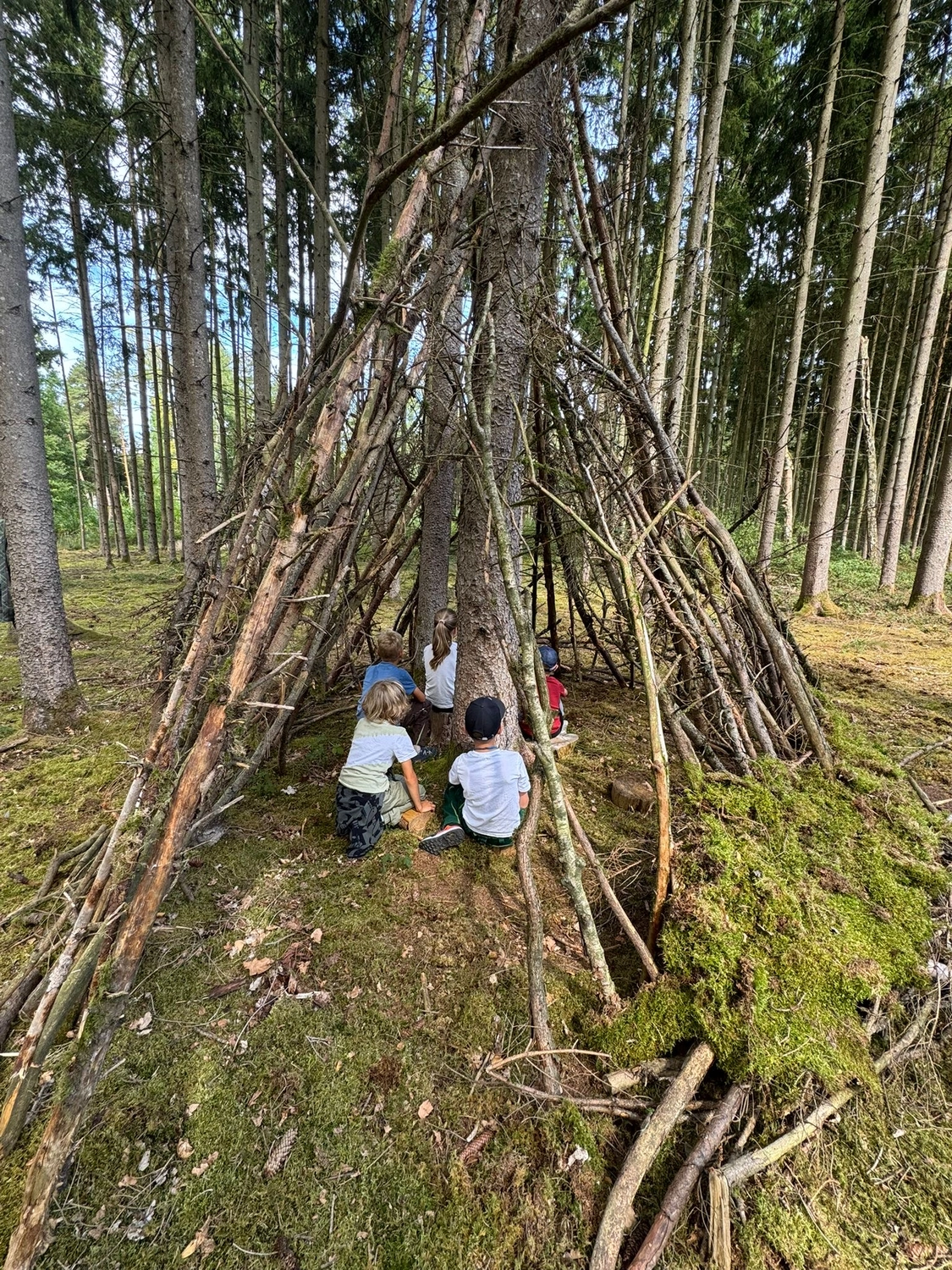 Stanglhof Sengkofen - Bauernhof - Kinder im Wald
