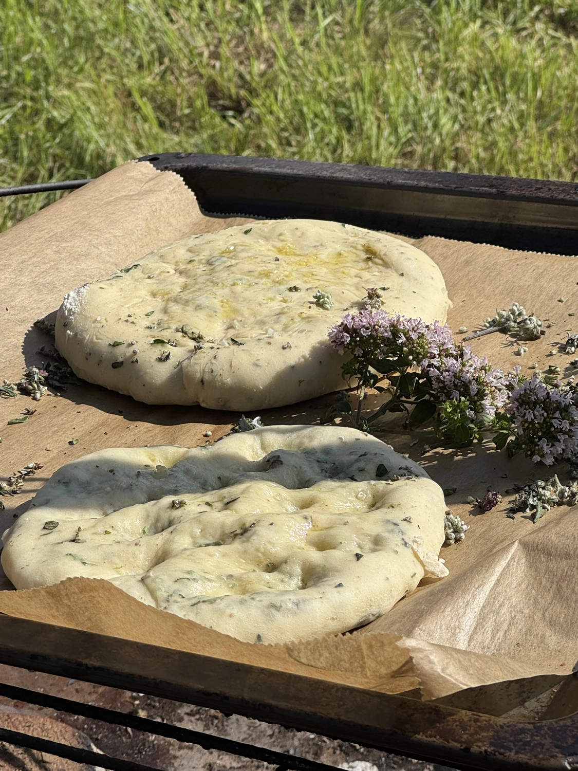 Stanglhof Sengkofen - Bauernhof - Brot