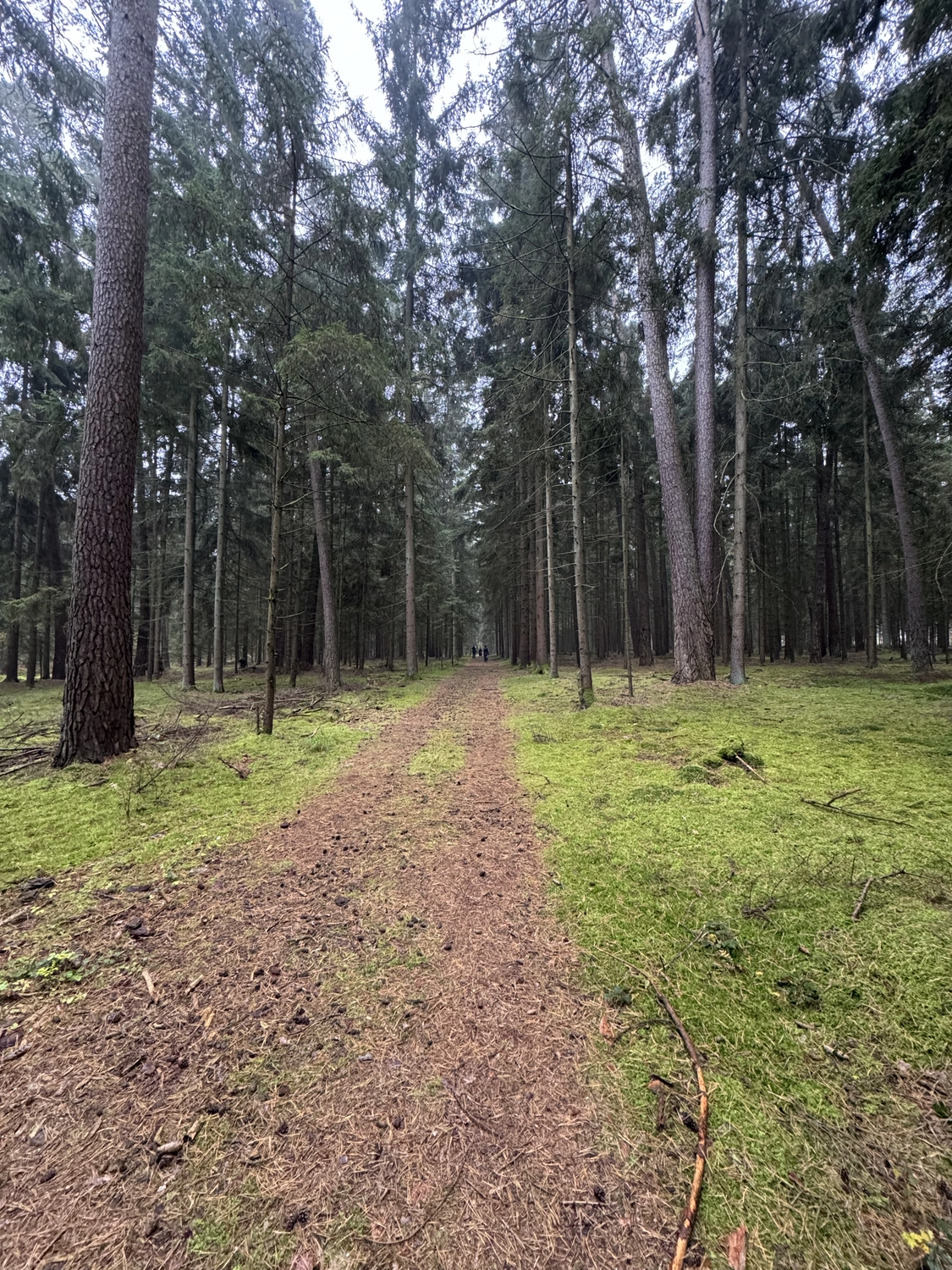 Stanglhof Sengkofen – Bauernhof – Wald