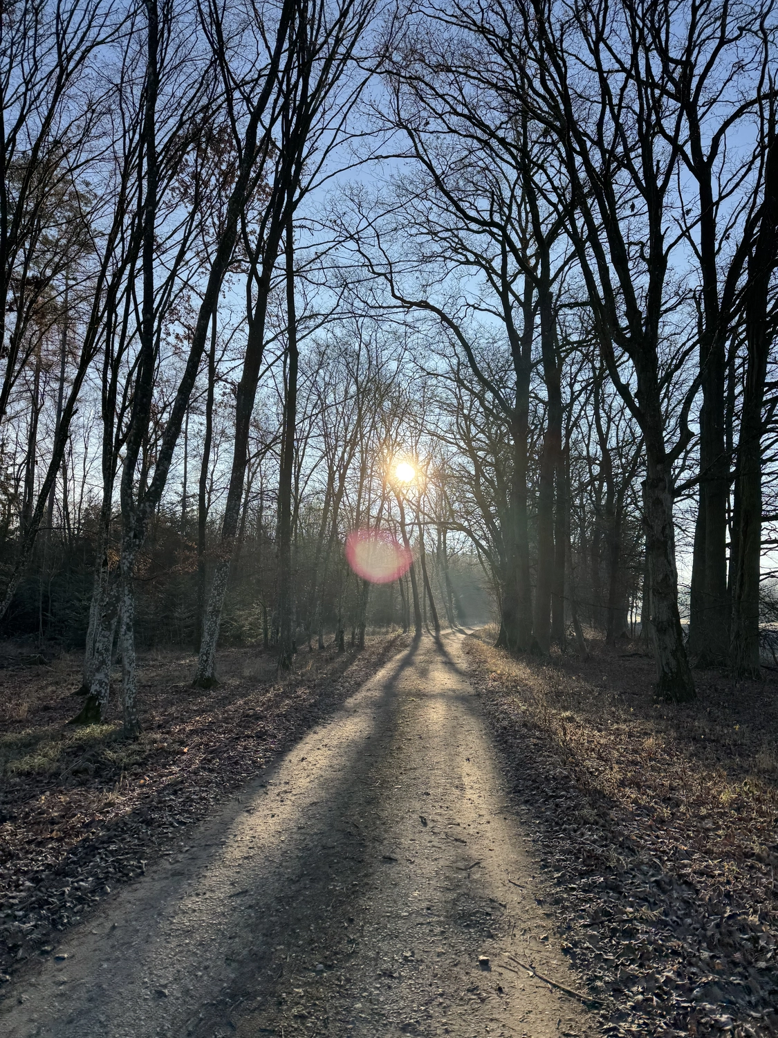Stanglhof Sengkofen – Bauernhof – Wald
