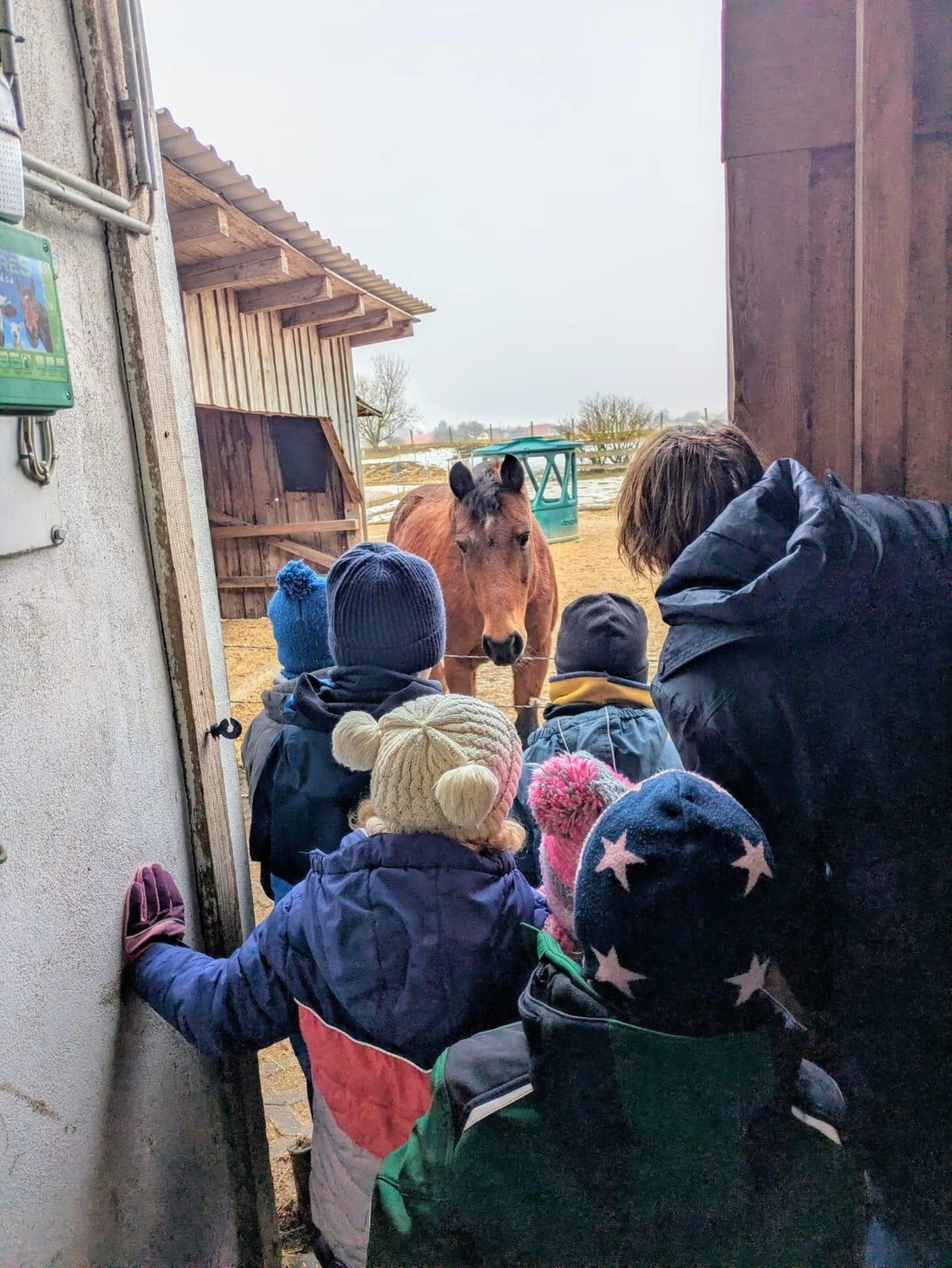Stanglhof Sengkofen - Bauernhof - Kindergeburtstage