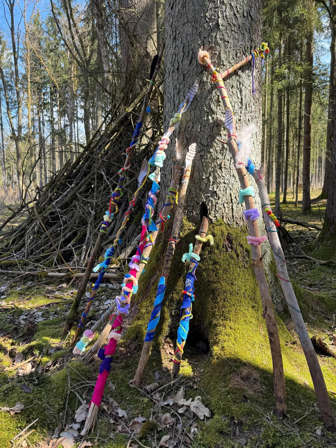 Stanglhof Sengkofen – Bauernhof – Wald