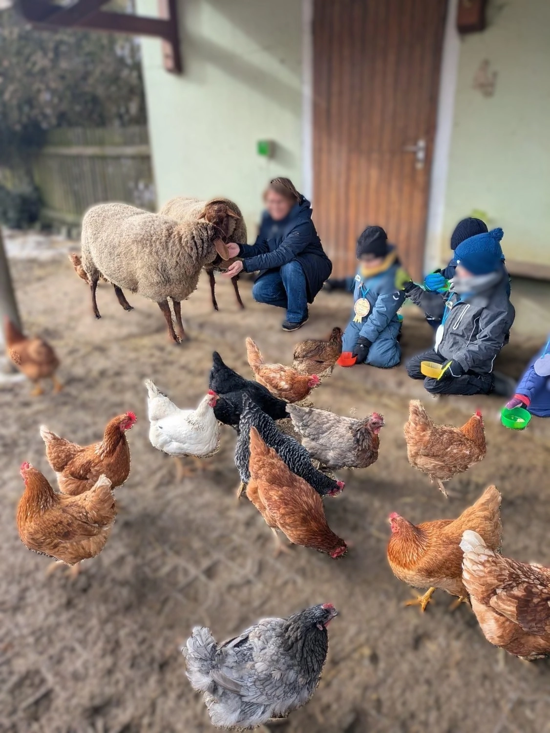 Stanglhof Sengkofen - Bauernhof - Kindergeburtstage